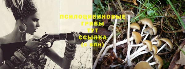 герыч Заводоуковск