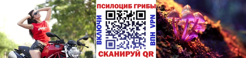 Купить где  Бобров  Галлюциногенные грибы Psilocybine cubensis 